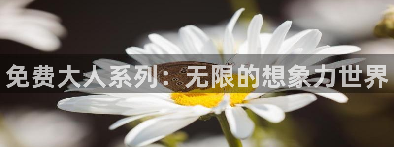 韩国yy漫画在线观看：免费大人系列：无限的想象力世界