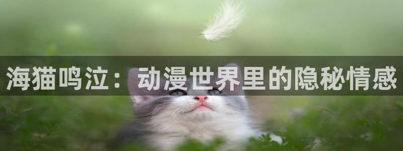 yy漫画 app：海猫鸣泣：动漫世界里的隐秘情感