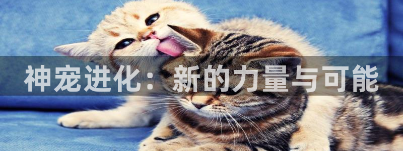 yy漫画大全套：神宠进化：新的力量与可能