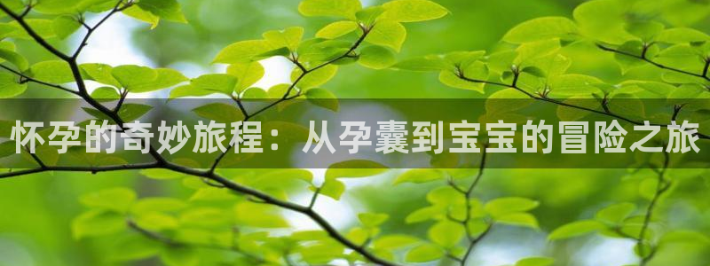 yy漫画免费：怀孕的奇妙旅程：从孕囊到宝宝的冒险之旅