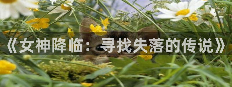 yy漫画登录网站：《女神降临：寻找失落的传说》