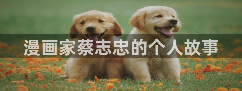 yy漫画大全：漫画家蔡志忠的个人故事