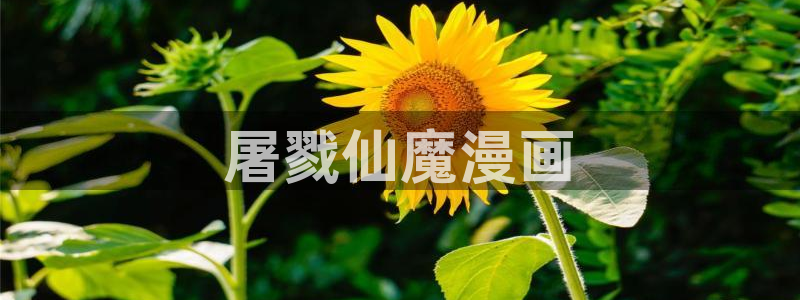 yy漫画韩漫在线阅读：屠戮仙魔漫画